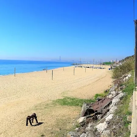 Oasis Beach-city